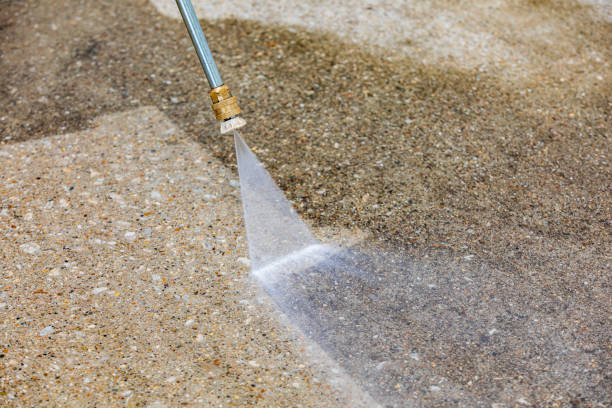 Best Sidewalk and Walkway Cleaning  in Cobb Island, MD